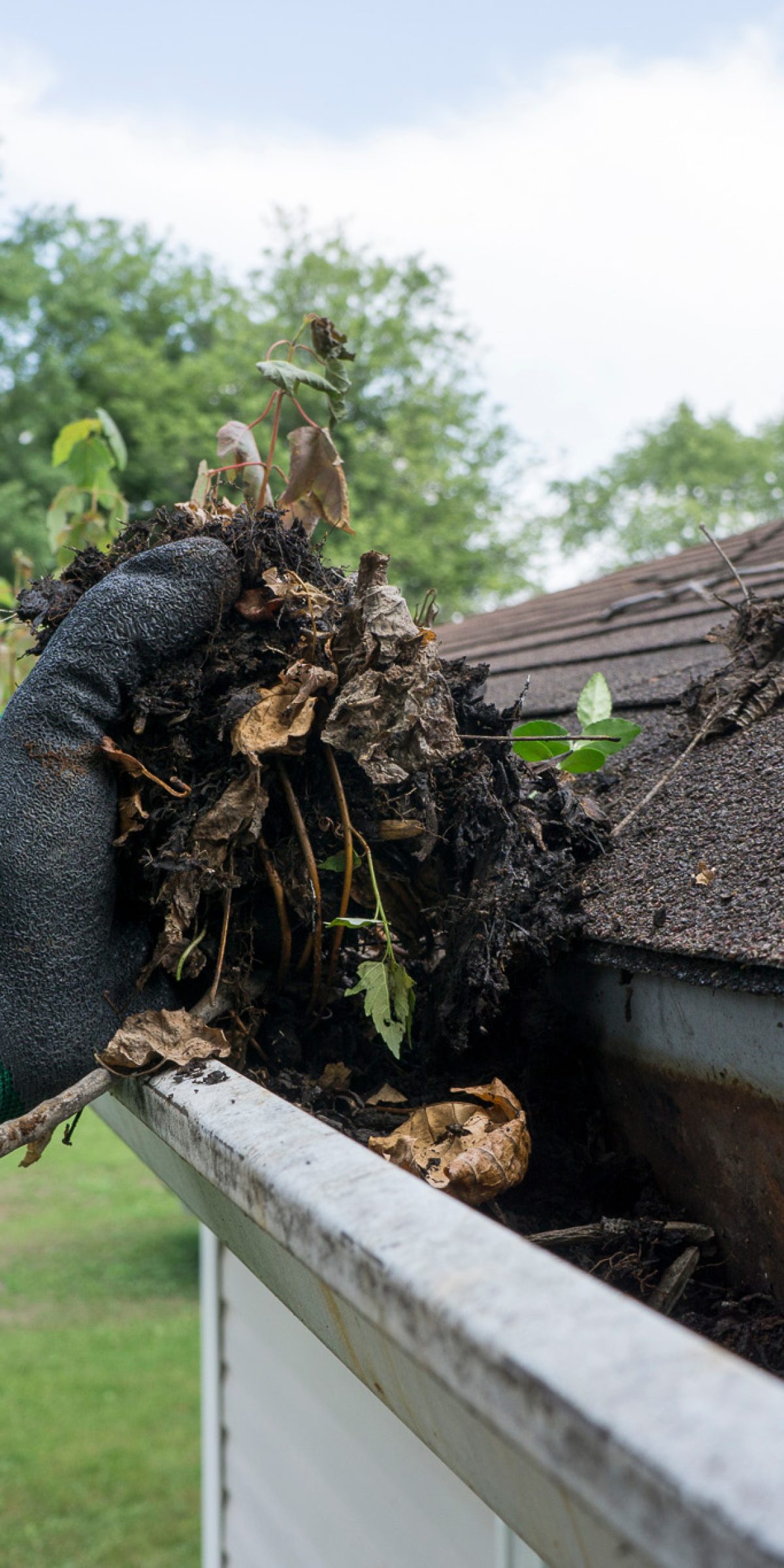 Cleaning Gutters Filled With Leaves & Sticks Cleaning gutters filled with leaves and sticks.